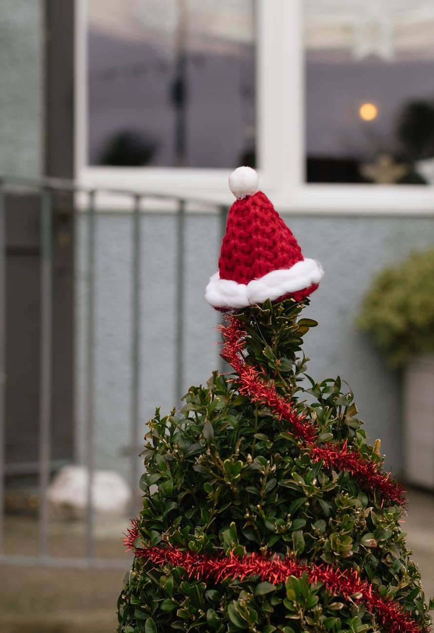 santa hat on a tree